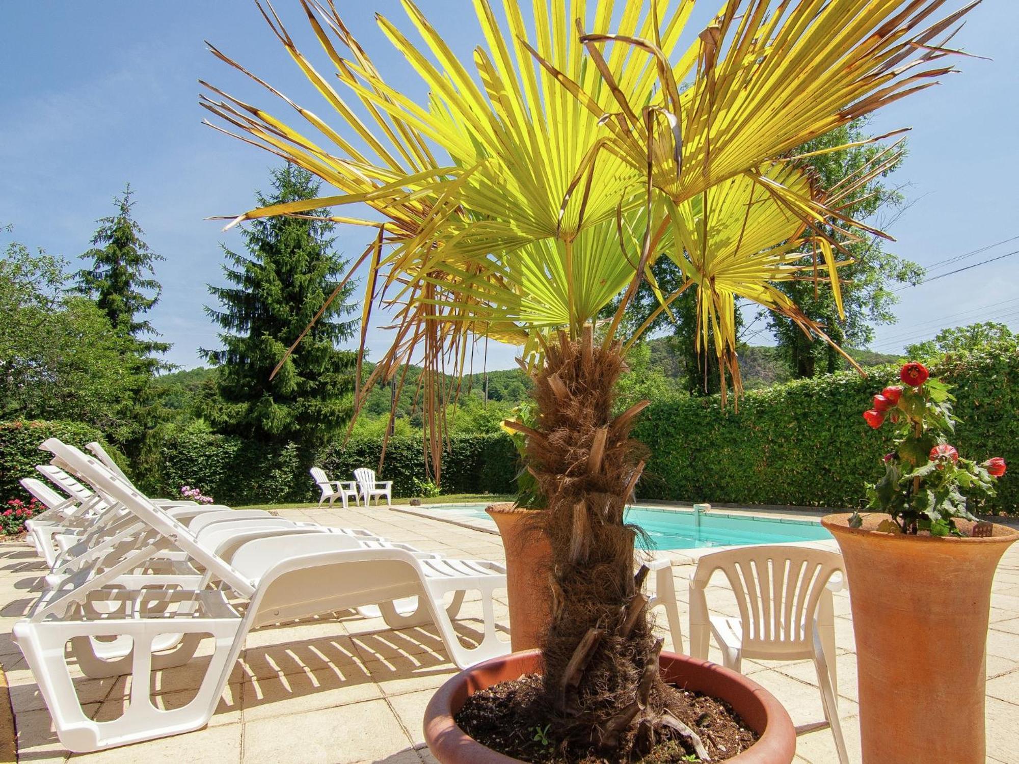 Appealing Apartment In Vezac With Swimming Pool Beynac-et-Cazenac ภายนอก รูปภาพ
